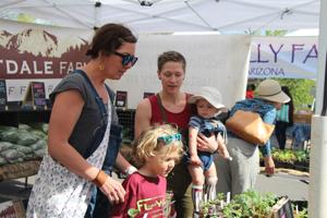 market jamie and erez daily sun