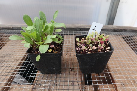 20200803110238_IMG_3887